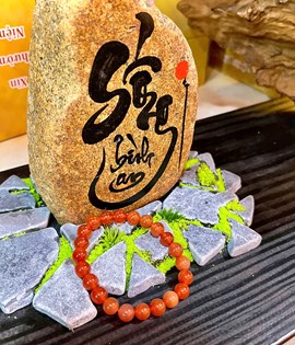 Chuỗi não đỏ 8 li