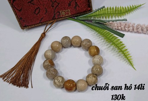 Chuỗi San Hô 14li
