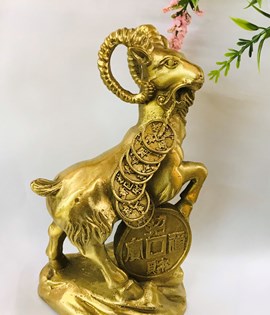 Dê Đồng Tiền Nhỏ