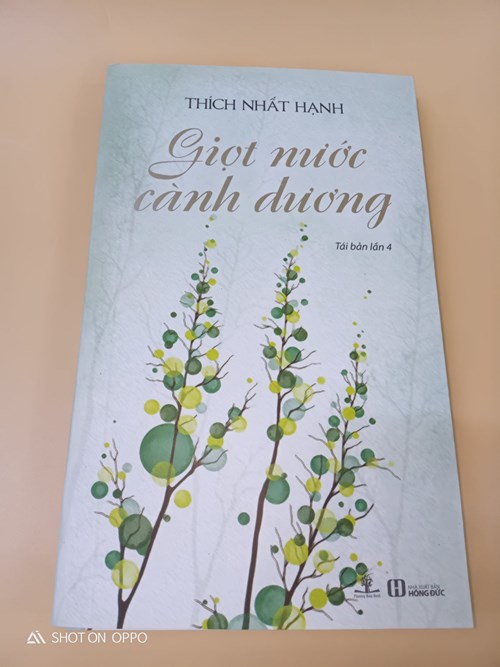Giọt nước cành dương