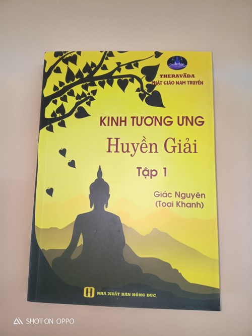 Kinh tương ưng - Huyền Giả tập 1
