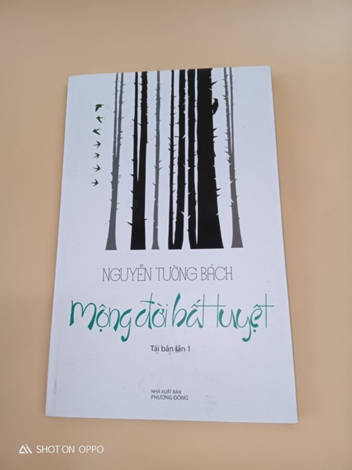 Mộng đời bất tuyệt