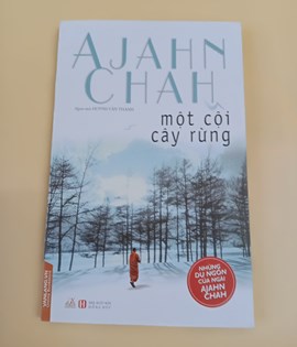 Một cội cây rừng