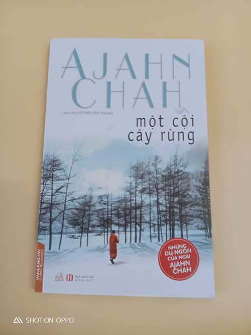 Một cội cây rừng