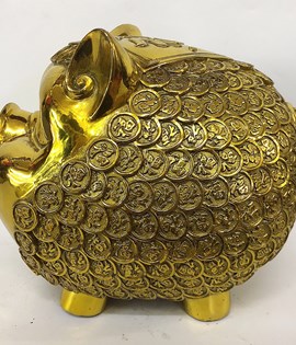Heo Tròn Đồng Tiền 