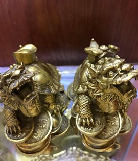 Rùa long quy trung
