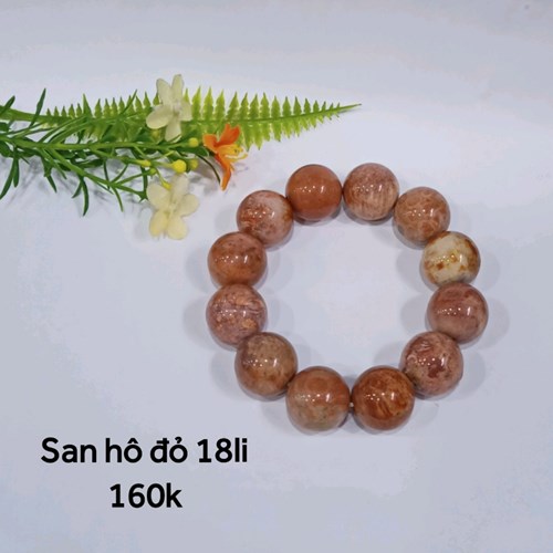 San Hô Đỏ 18li