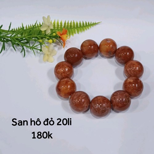 San Hô Đỏ 20li