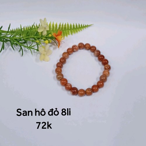 San Hô Đỏ 8li