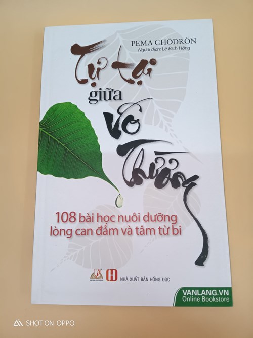 Tự Tại Giữa Vô Thường