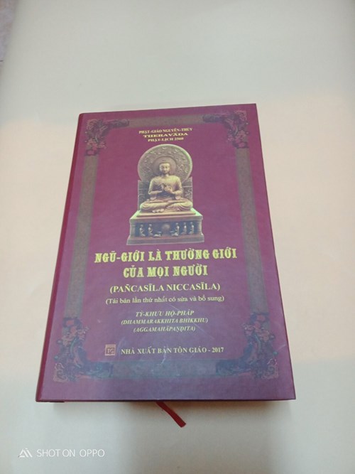 Vi Diệu Pháp Hiện Thực Trong Cuộc Sống