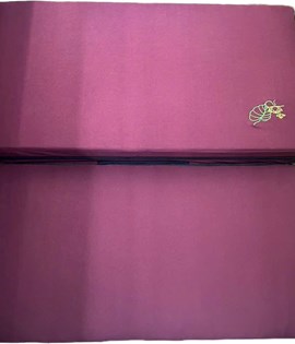 Tọa cụ gấp 10 cm 30*60 đỏ đô