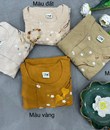 Cổ tròn bồ đề cotton