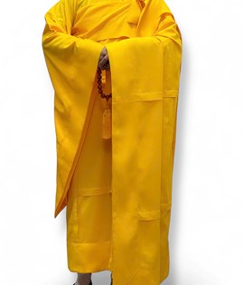 y 5 kate vàng chanh