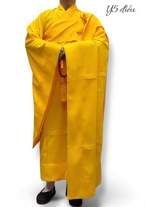 y 5 kate vàng chanh