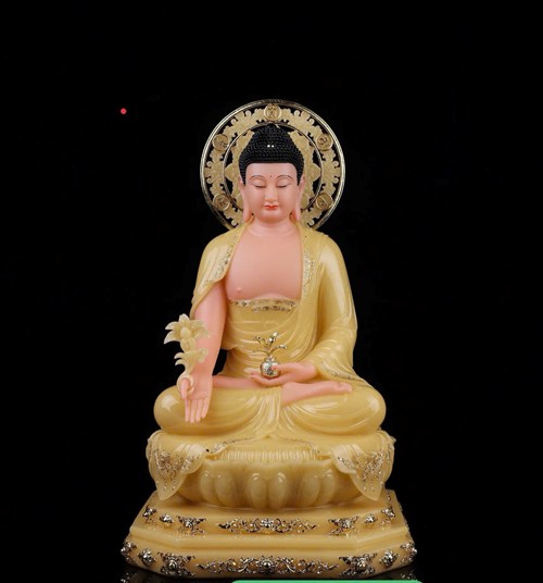 DƯỢC SƯ DS001 48CM HY