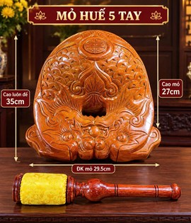 Mõ Huế 5T