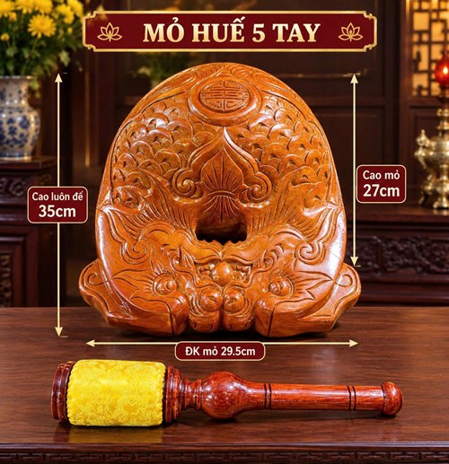 Mõ Huế 5T