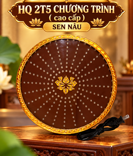 Hào Quang Chương Trình 2.5T sen nâu