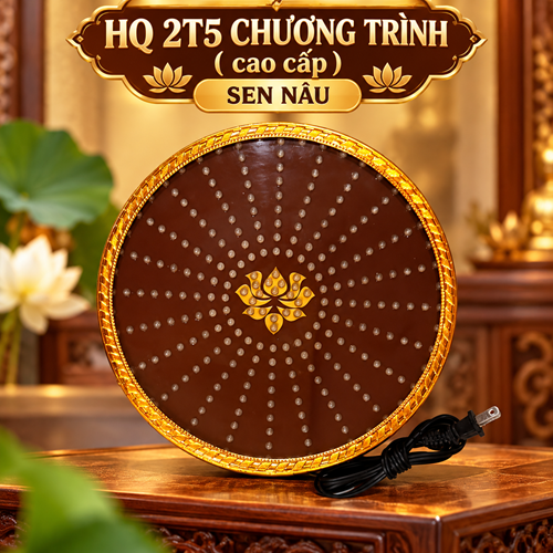 Hào Quang Chương Trình 2.5T sen nâu
