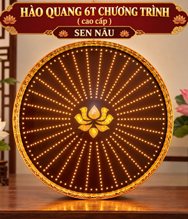 Hào Quang Chương Trình 6T sen nâu