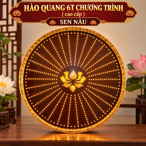 Hào Quang Chương Trình 6T sen nâu