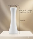 /UserUpload/Project/binh-16-su-trang.jpg