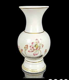 BÌNH 2060 10IN