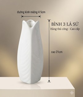 BÌNH 3 LÁ SỨ