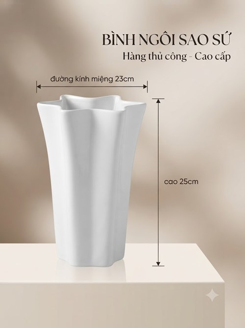 BÌNH NGÔI SAO SỨ