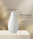 /UserUpload/Project/binh-odling-14.jpg