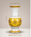 /UserUpload/Project/binh-rvcc-9in.jpg