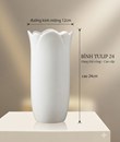 BÌNH TULIP TRẮNG 24