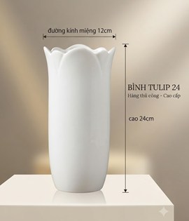 BÌNH TULIP TRẮNG 24