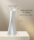 /UserUpload/Project/binh-xoan-goc-su-trang.jpg