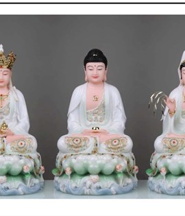BỘ TA BÀ ĐÁ 2310 12IN