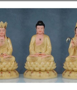 BỘ TA BÀ ĐÁ 2925 12IN