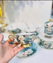 Bộ tách nấu xanh xà cừ