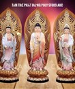 /UserUpload/Project/bo-tam-the-phat-sf009-40-hc.jpg