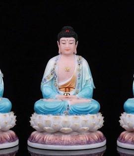Bộ TTPD SP040 48XL