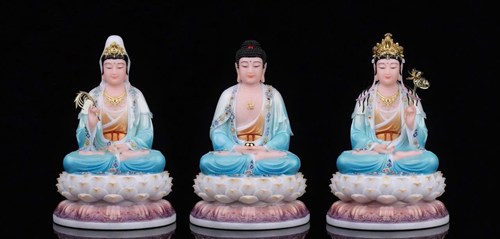 Bộ TTPD SP040 48XL