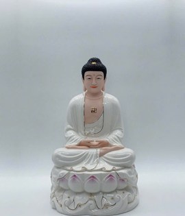 BỔN SƯ SỨ AP051 48TR