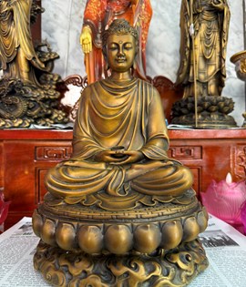 bổn sư vàng mới 40cm