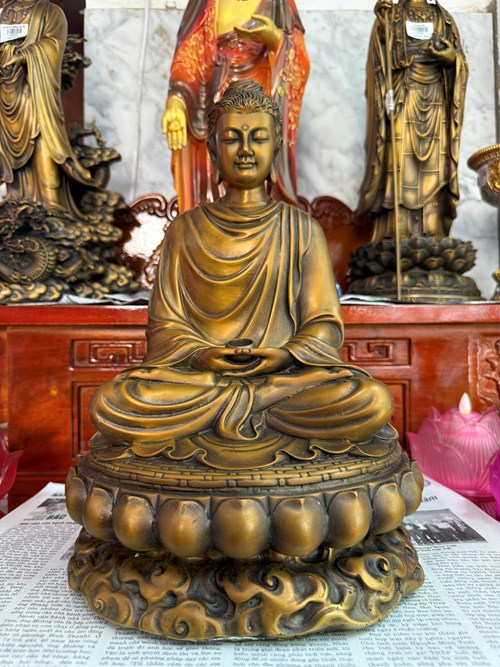 bổn sư vàng mới 40cm