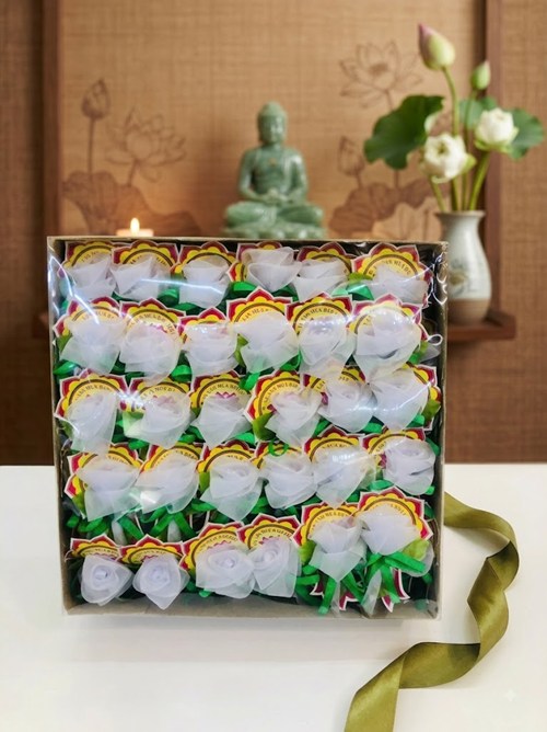 bông hồng vol cao 100 bông - trắng