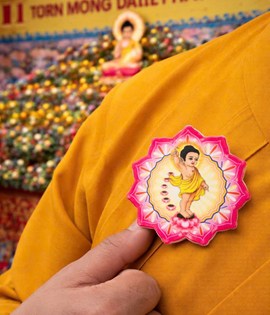 cài áo phật đản hoa