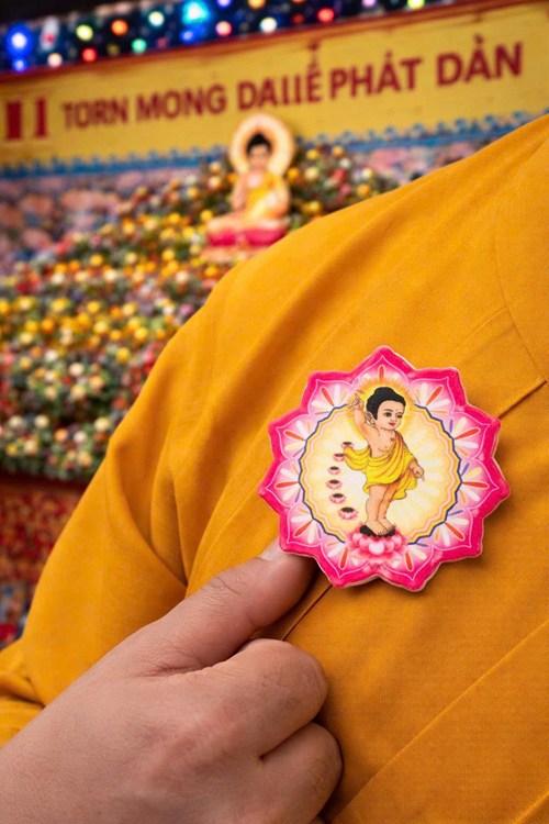cài áo phật đản hoa