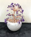 Cây Thạch Anh Chậu Sứ Nhí 