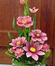 /UserUpload/Project/chau-hoa-495.jpg
