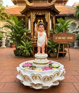 chậu tắm phật sen lùn trắng